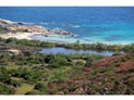 44 - Isola dell'Asinara