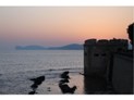 49 - Tramonto ad Alghero: Torre S.Giacomo